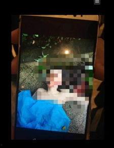 任娇个人资料多大,青春洋溢的影视新星，闪耀荧屏的璀璨之星